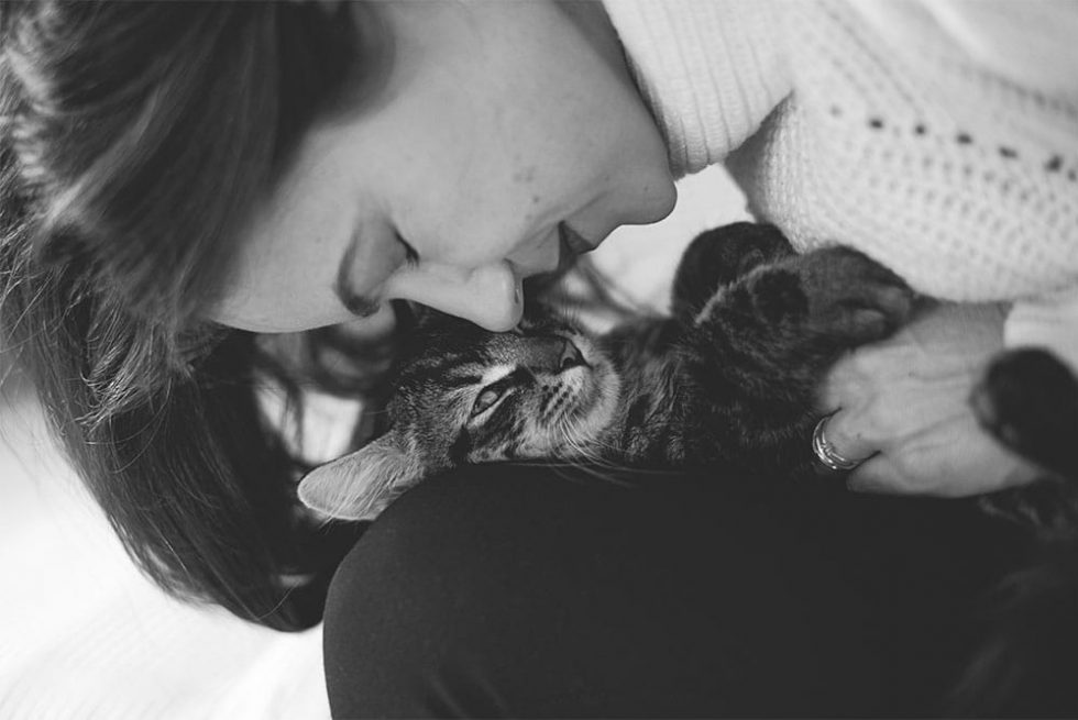 Mi Perro Me Muerde Sin Apretar